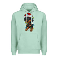 Seafoam dachshund puppy christmas lights Premium Hoodie - RanaPortraitStore
