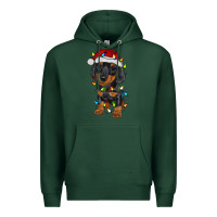 Sports Green dachshund puppy christmas lights Premium Hoodie - RanaPortraitStore
