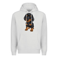 Dove Grey dachshund puppy Premium Hoodie - RanaPortraitStore