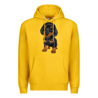 Lemon dachshund puppy Premium Hoodie - RanaPortraitStore