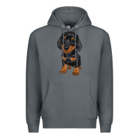 Rock dachshund puppy Premium Hoodie - RanaPortraitStore