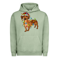 Pigment Oil Green dachshund with christmas lights Urban Hoodie - RanaPortraitStore