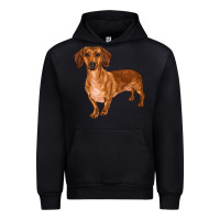 Black dachshund Urban Hoodie - RanaPortraitStore