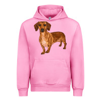 Fuchsia Pink dachshund Urban Hoodie - RanaPortraitStore
