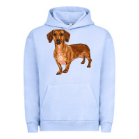 Pigment Grape Ice dachshund Urban Hoodie - RanaPortraitStore