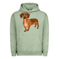 Pigment Oil Green dachshund Urban Hoodie - RanaPortraitStore