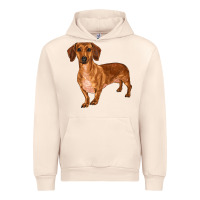 Sandshell dachshund Urban Hoodie - RanaPortraitStore