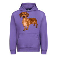Tulip dachshund Urban Hoodie - RanaPortraitStore