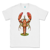 White lobster Classic Tee - BarkalooDesign