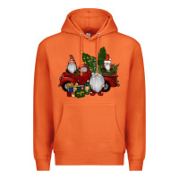 Carrot christmas gnomes with truck Premium Hoodie - RanaPortraitStore
