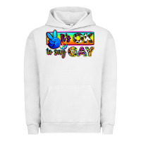 Pigment Lunar Rock it's ok to say gay Urban Hoodie - Zillion Design Studio