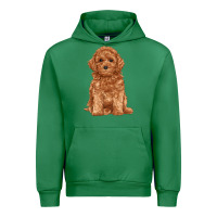 Emerald toy poodle Urban Hoodie - RanaPortraitStore
