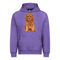 Tulip toy poodle Urban Hoodie - RanaPortraitStore