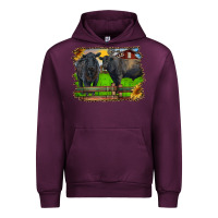 Mauve Wine black angus cattle and bull in barnyard Urban Hoodie - RanaPortraitStore