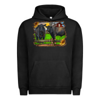 Pigment Black black angus cattle and bull in barnyard Urban Hoodie - RanaPortraitStore