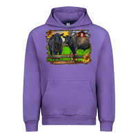 Tulip black angus cattle and bull in barnyard Urban Hoodie - RanaPortraitStore