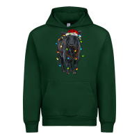 Forest Green christmas black angus cattle with lights Urban Hoodie - RanaPortraitStore
