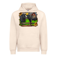 Sandshell black angus cattle and bull in barnyard Urban Hoodie - RanaPortraitStore
