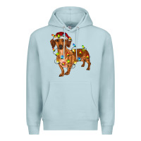 Blue Mist dachshund with christmas lights Premium Hoodie - RanaPortraitStore