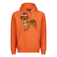 Carrot dachshund with christmas lights Premium Hoodie - RanaPortraitStore