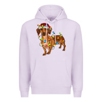 Lilac dachshund with christmas lights Premium Hoodie - RanaPortraitStore