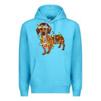 Ocean Blue dachshund with christmas lights Premium Hoodie - RanaPortraitStore