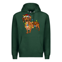 Sports Green dachshund with christmas lights Premium Hoodie - RanaPortraitStore
