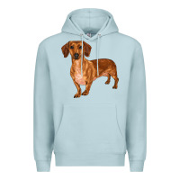 Blue Mist dachshund Premium Hoodie - RanaPortraitStore