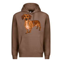 Chestnut dachshund Premium Hoodie - RanaPortraitStore