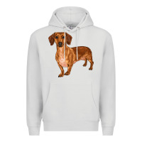Dove Grey dachshund Premium Hoodie - RanaPortraitStore