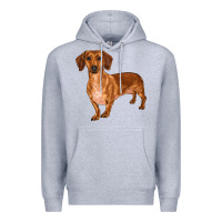 Heather Grey dachshund Premium Hoodie - RanaPortraitStore