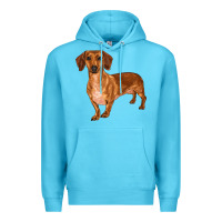 Ocean Blue dachshund Premium Hoodie - RanaPortraitStore