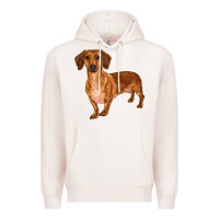 Pale Pink dachshund Premium Hoodie - RanaPortraitStore