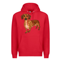 Red dachshund Premium Hoodie - RanaPortraitStore