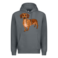 Rock dachshund Premium Hoodie - RanaPortraitStore