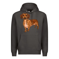 Smoke dachshund Premium Hoodie - RanaPortraitStore