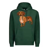 Sports Green dachshund Premium Hoodie - RanaPortraitStore