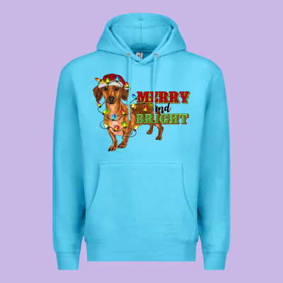 Merry And Bright Dachshund Premium Hoodie Designed By Ranaportraitstore
