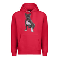 Cardinal pitbull Premium Hoodie - RanaPortraitStore