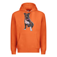 Carrot pitbull Premium Hoodie - RanaPortraitStore