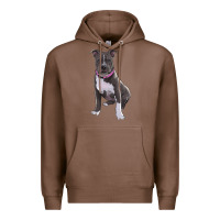 Chestnut pitbull Premium Hoodie - RanaPortraitStore