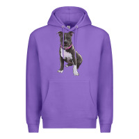 Purple pitbull Premium Hoodie - RanaPortraitStore