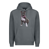 Rock pitbull Premium Hoodie - RanaPortraitStore