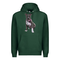 Sports Green pitbull Premium Hoodie - RanaPortraitStore