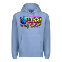 Colony Blue it's ok to say gay Premium Hoodie - Zillion Design Studio
