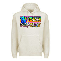 Oatmeal Heather it's ok to say gay Premium Hoodie - Zillion Design Studio