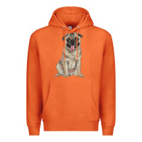 Carrot pug Premium Hoodie - RanaPortraitStore