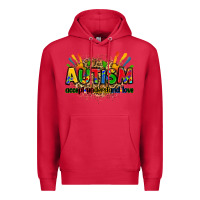 Cardinal autism accept understand love Premium Hoodie - Zillion Design Studio