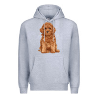 Heather Grey toy poodle Premium Hoodie - RanaPortraitStore