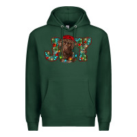 Sports Green labrador retriever christmas joy Premium Hoodie - RanaPortraitStore